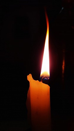 C1